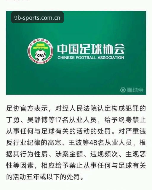3大看点解析足协第三批禁足名单：17人被终身禁止参与足球活动